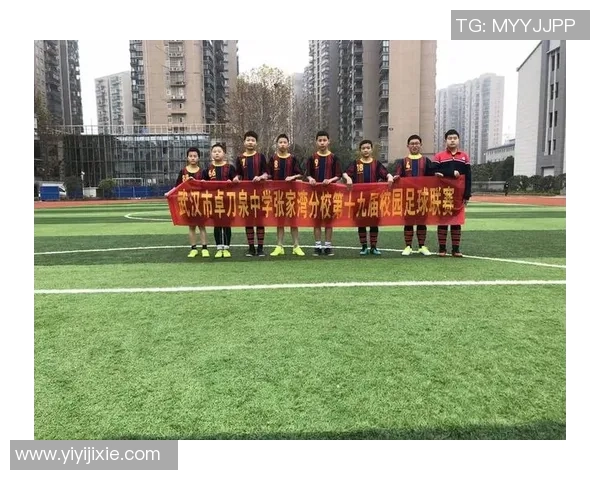 安徽职业足球崛起之路：探索发展与挑战的全景分析